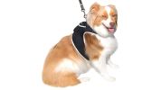 Get Realtime Pet Locations w/ Pet Tracker Mini Cat Dog GPS Tracking Collar Size:S