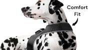 Get Realtime Location Update w/ Pet Tracker GPS Tracking Collars for Dogs Size:S