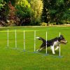 Dog Weave Pole Set, Agility Starter Kit for Outdoor Exercise Training
